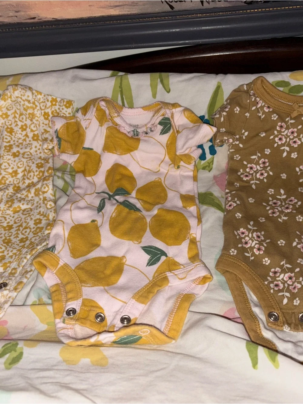 Newborn Onesies 3 Pack Organic Cotton / Cotton Baby Clothes